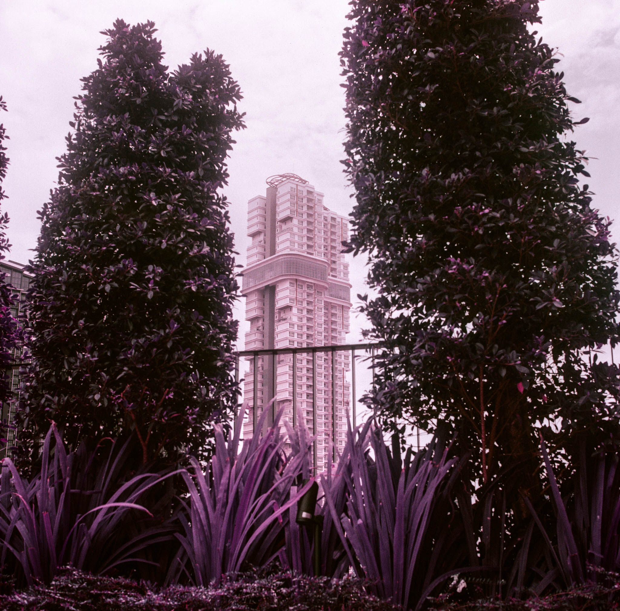 Johor Bahru, Lomochrome Purple, Frame 2